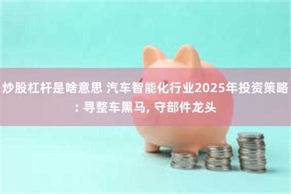 炒股杠杆是啥意思 汽车智能化行业2025年投资策略: 寻整车黑马, 守部件龙头