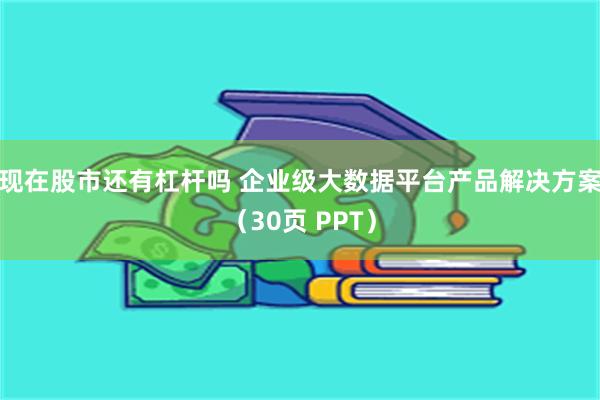 现在股市还有杠杆吗 企业级大数据平台产品解决方案（30页 PPT）