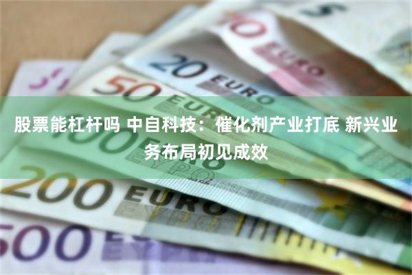 股票能杠杆吗 中自科技：催化剂产业打底 新兴业务布局初见成效