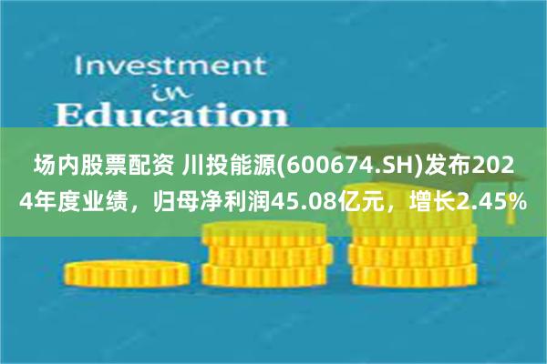 场内股票配资 川投能源(600674.SH)发布2024年度业绩，归母净利润45.08亿元，增长2.45%