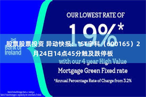 股票股票投资 异动快报：*ST宁科（600165）2月24日14点45分触及跌停板