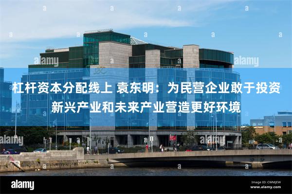 杠杆资本分配线上 袁东明：为民营企业敢于投资新兴产业和未来产业营造更好环境