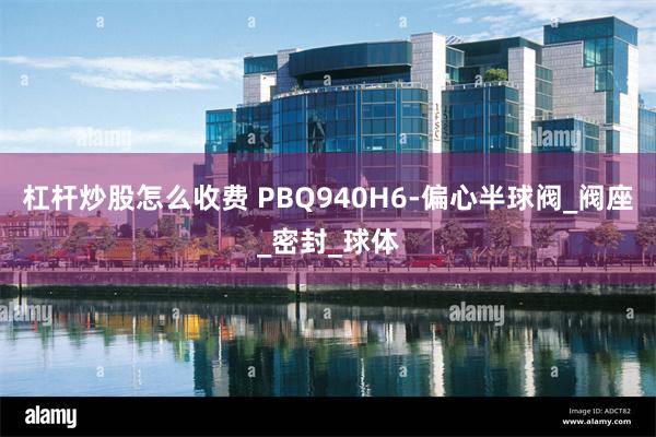 杠杆炒股怎么收费 PBQ940H6-偏心半球阀_阀座_密封_球体
