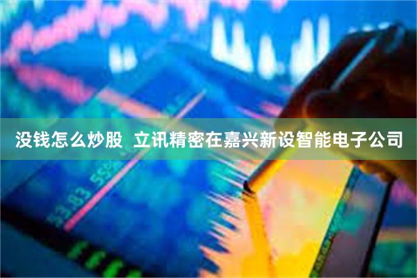 没钱怎么炒股  立讯精密在嘉兴新设智能电子公司