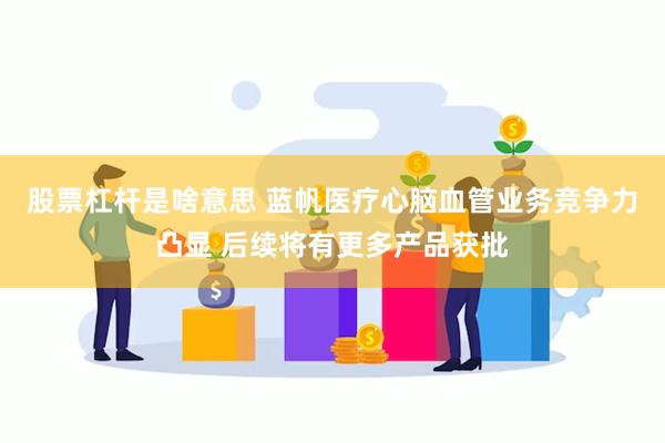 股票杠杆是啥意思 蓝帆医疗心脑血管业务竞争力凸显 后续将有更多产品获批