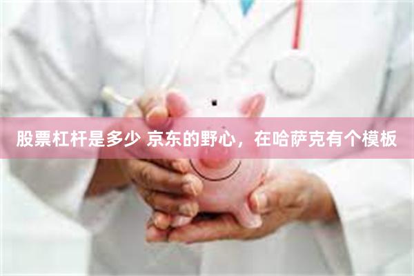 股票杠杆是多少 京东的野心，在哈萨克有个模板