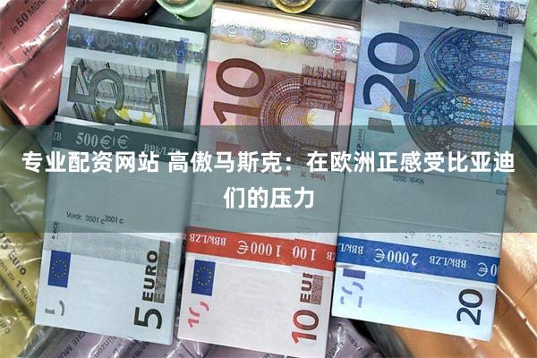 专业配资网站 高傲马斯克：在欧洲正感受比亚迪们的压力