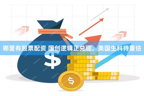 哪里有股票配资 国创逻辑正兑现，美国生科待重估