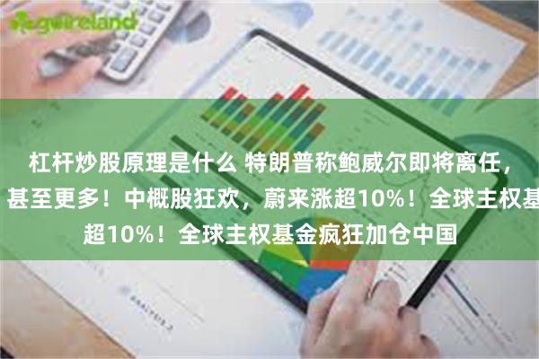 杠杆炒股原理是什么 特朗普称鲍威尔即将离任，利率应降低3%，甚至更多！中概股狂欢，蔚来涨超10%！全球主权基金疯狂加仓中国