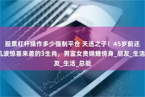 股票杠杆操作多少强制平仓 天选之子！45岁前还有好几波惊喜来袭的3生肖，男富女贵锦鲤傍身_朋友_生活_总能