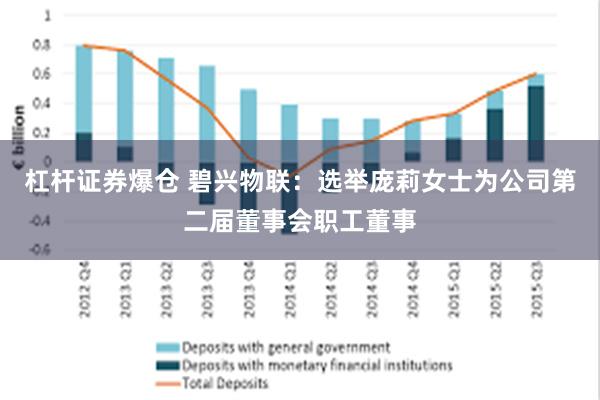 杠杆证券爆仓 碧兴物联：选举庞莉女士为公司第二届董事会职工董事